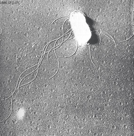 738b4710b912c8fcdc9a6929fc039245d78821ec - 