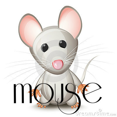 little-gray-mouse-thumb11830280 - 