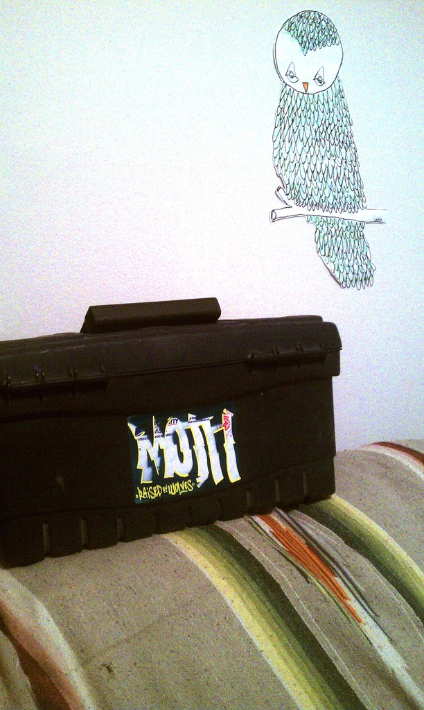 moth box Picture Box