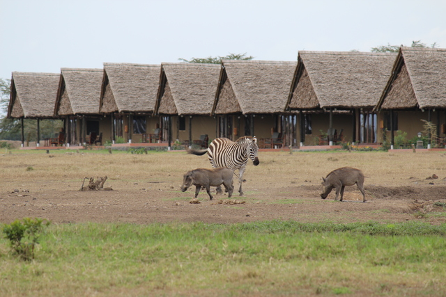 IMG 0230 Kenya