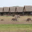 IMG 0230 - Kenya