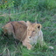 IMG 2125 - Kenya