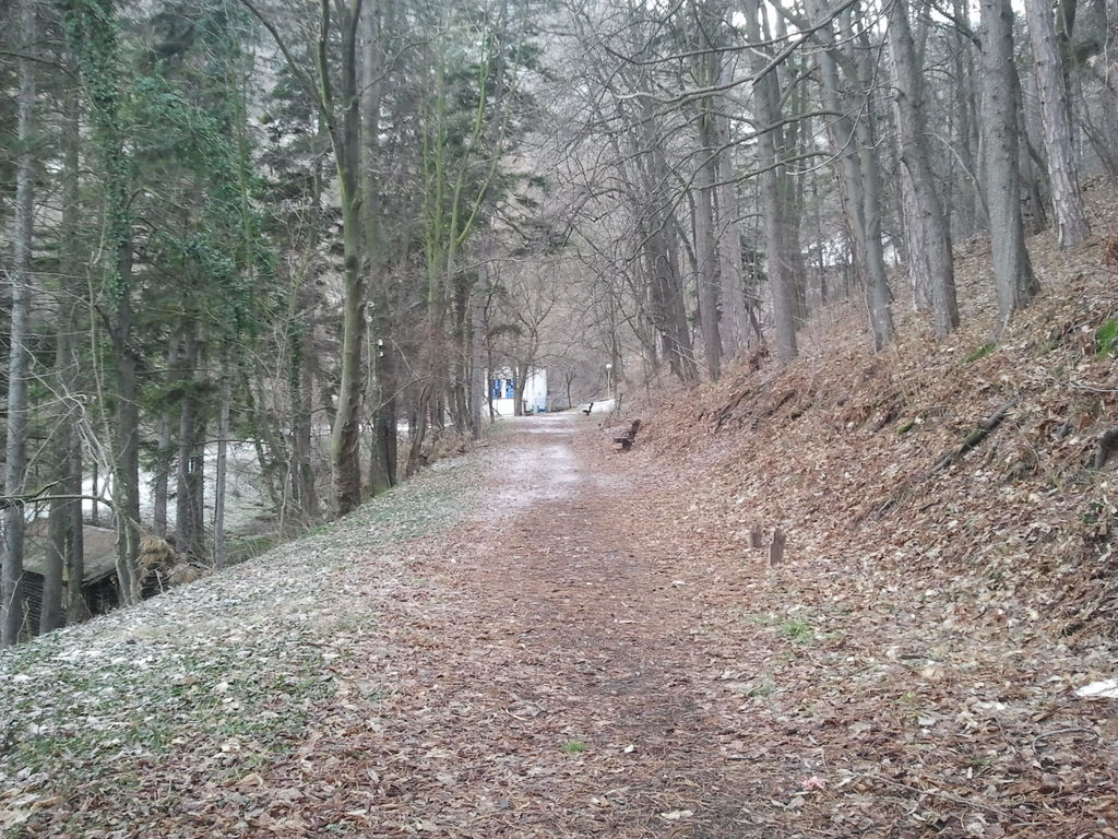 2013-01-12 12.03.26 - 