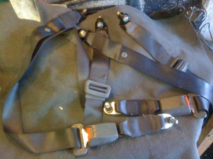 16629 4041463282865 827931569 n - 