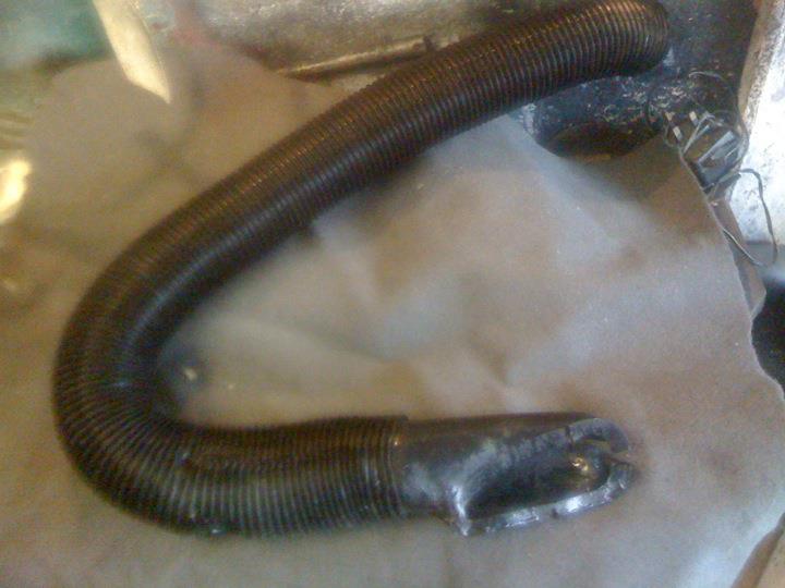 16764 4041461522821 1890194570 n - 