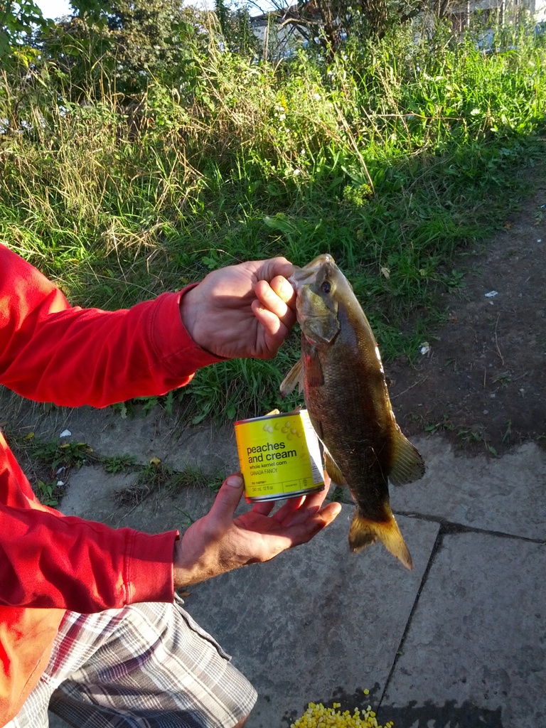 IMG 20120930 174442 - 