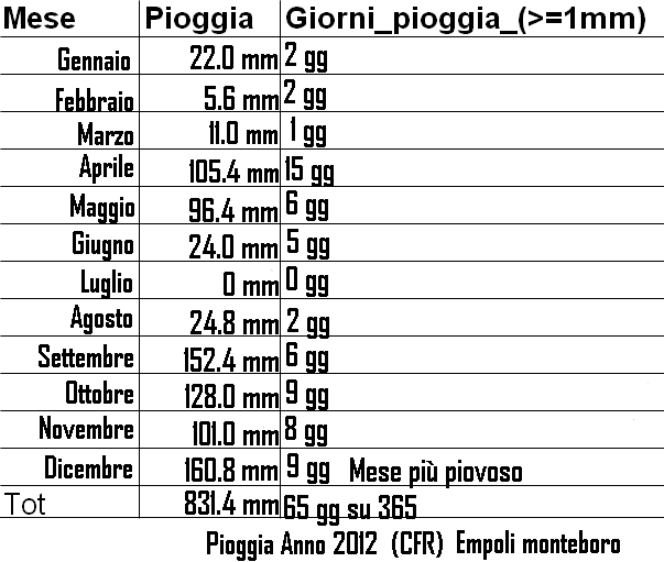 Empoli pioggia 2012 - 