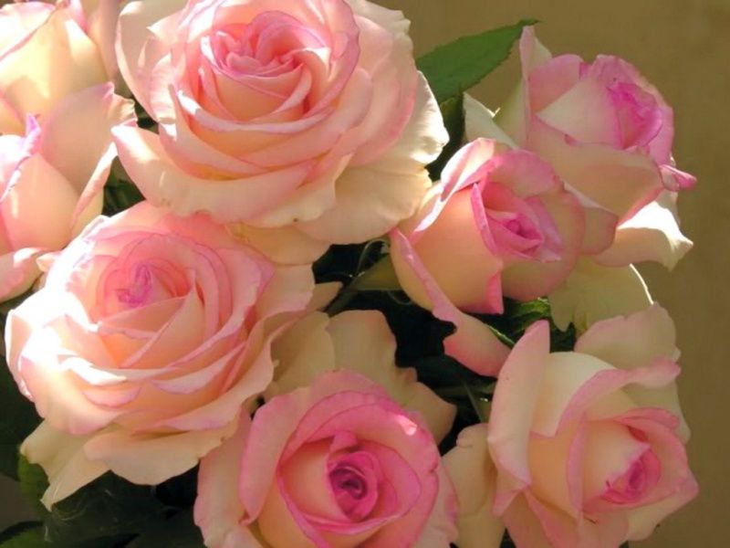 get-6-2011-27nheans - 