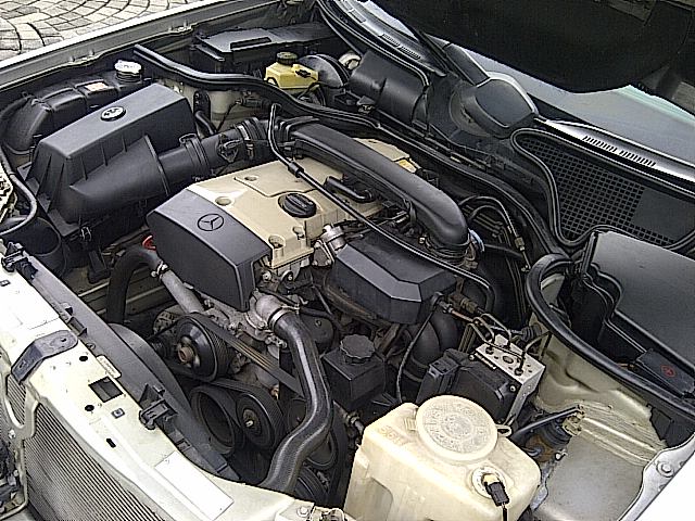 IMG-20130124-01604 - 