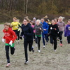 DSC04998 - Jeugd Regio Cross Rijnmond ...