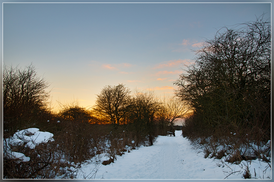 Duinpad Renesse I- - 