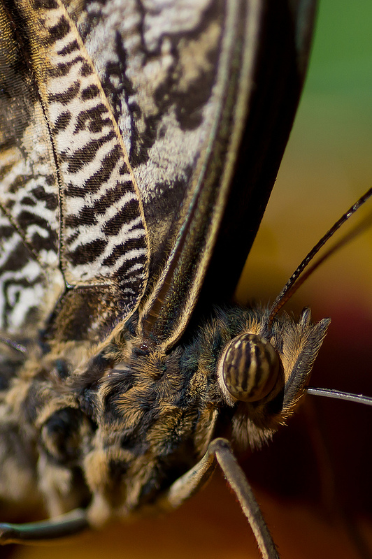 7654087926 bce7b60bcf c - 