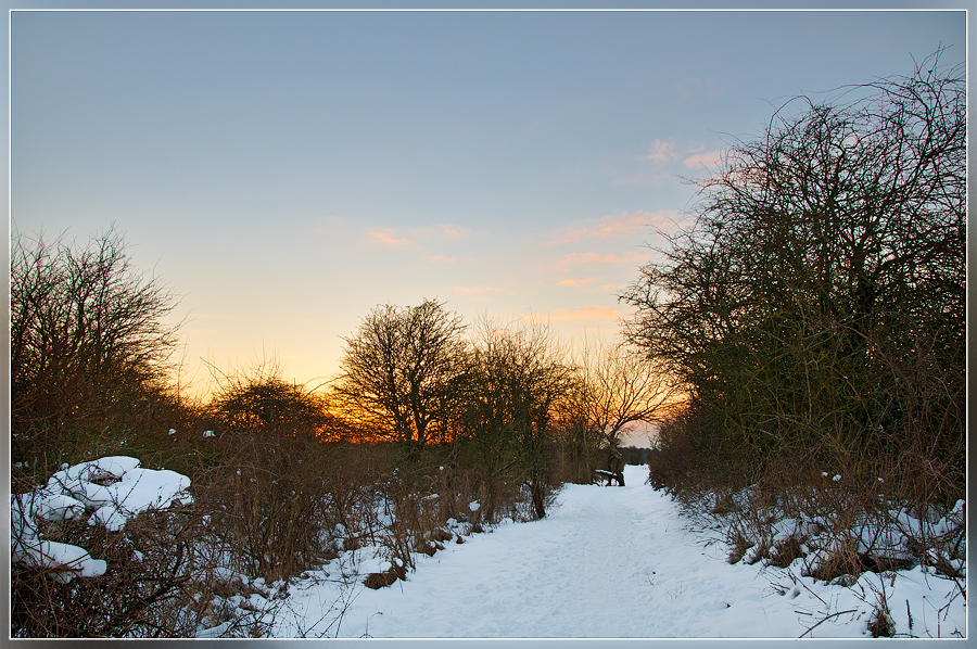 Duinpad Renesse I Opgelicht--2 - 