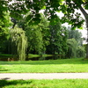 P1010134 - Vondelpark