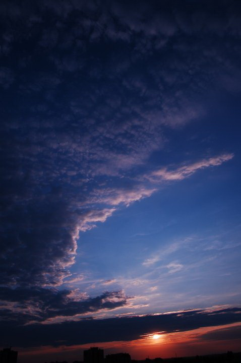 7209254800 3edc31d6db b - 