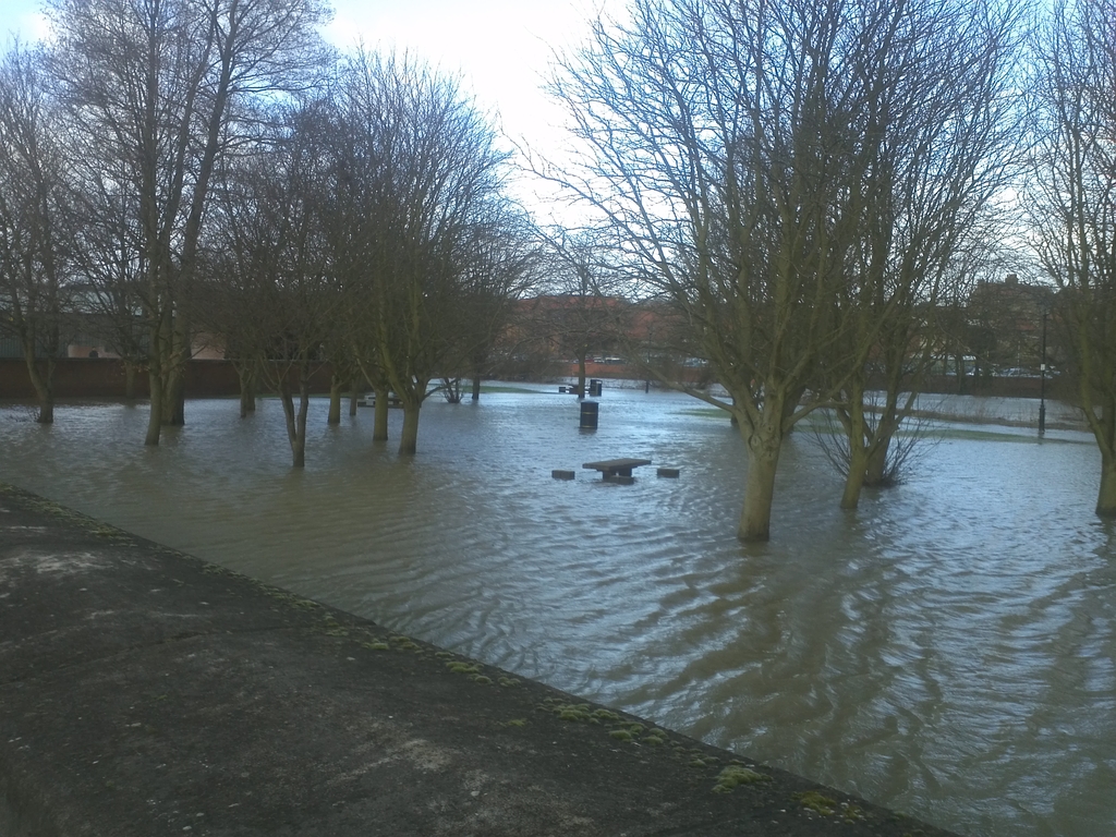 IMG 20130131 095858 - 