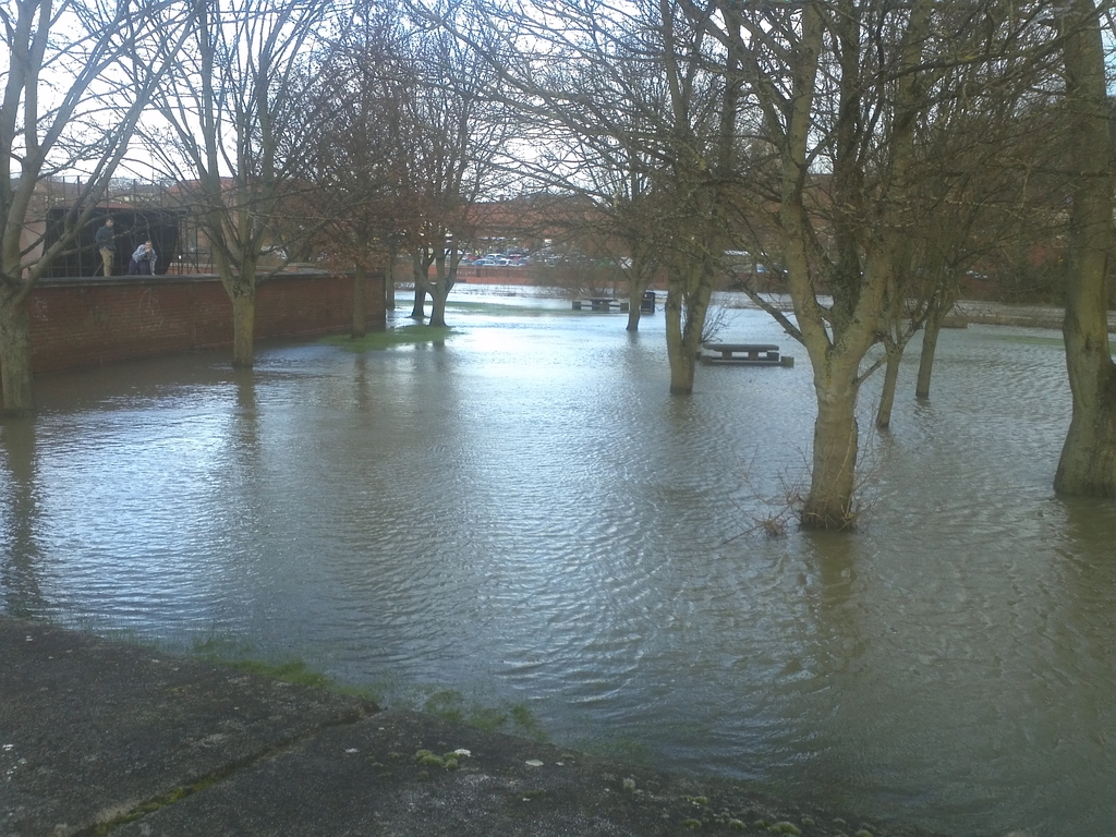 IMG 20130131 095931 - 