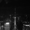  - Shanghai (上海)