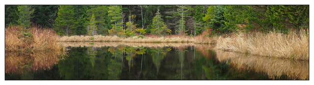 Lake Reflection Panorama Images