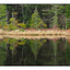 Lake Reflection - Panorama Images