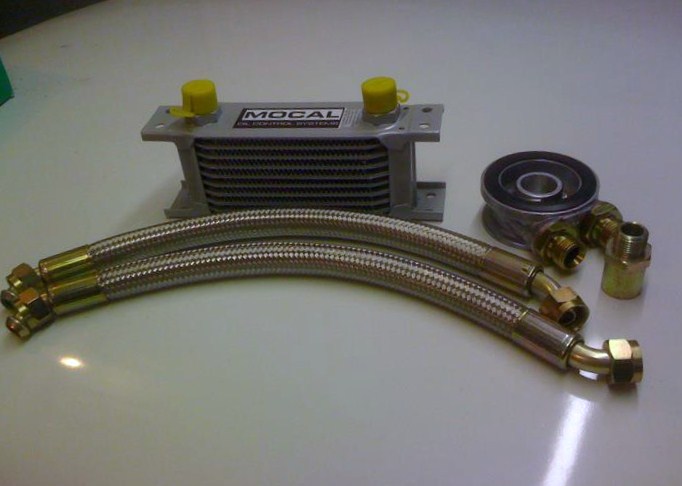 526573 4237896593575 1082504138 n - 