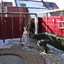 Tuin - aanleg pleintje en m... - Aanleg van 't Rietplein 06-02-13