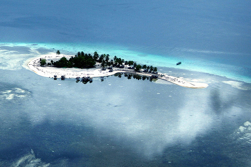 123229922 50bc7c6133 - 