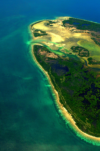 362405254 83c7d9d028 - 