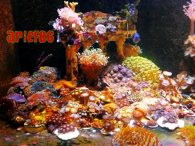 fts baru1 - 