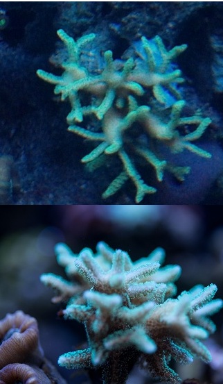 IMG 20130216 100027 - 