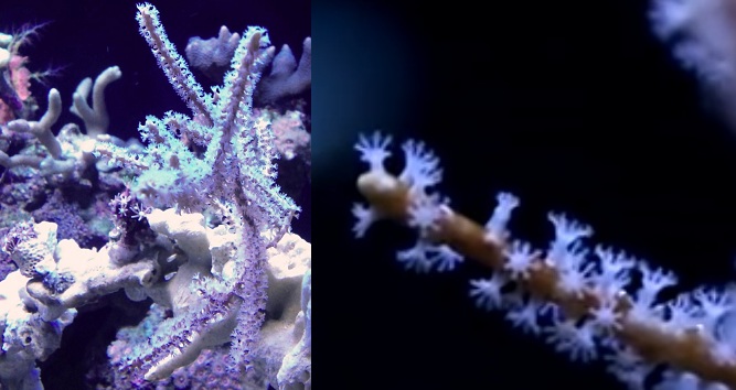 IMG 20121115 111137 - 