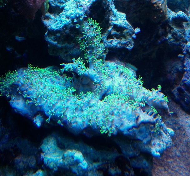 IMG 20130217 175427 - 