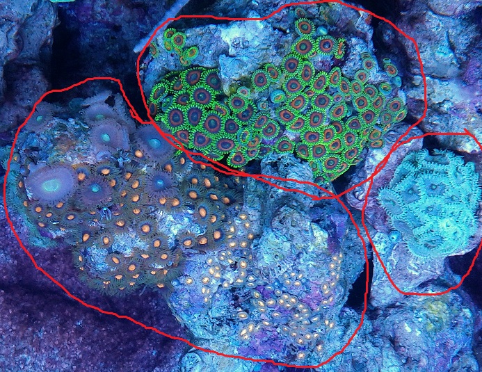 IMG 20130217 175712 - 