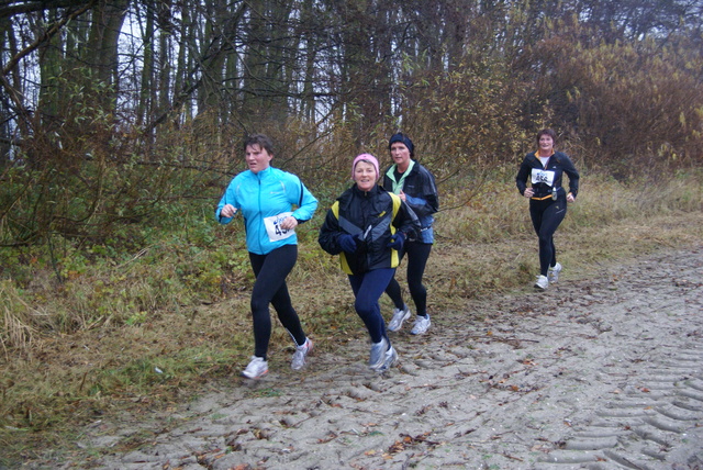 DSC05360 Kruininger Gors Cross 30 nov 2008