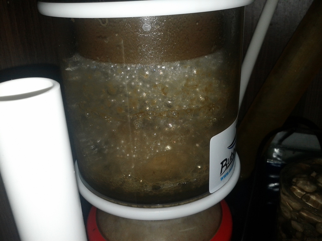 IMG 20130219 174110 - 