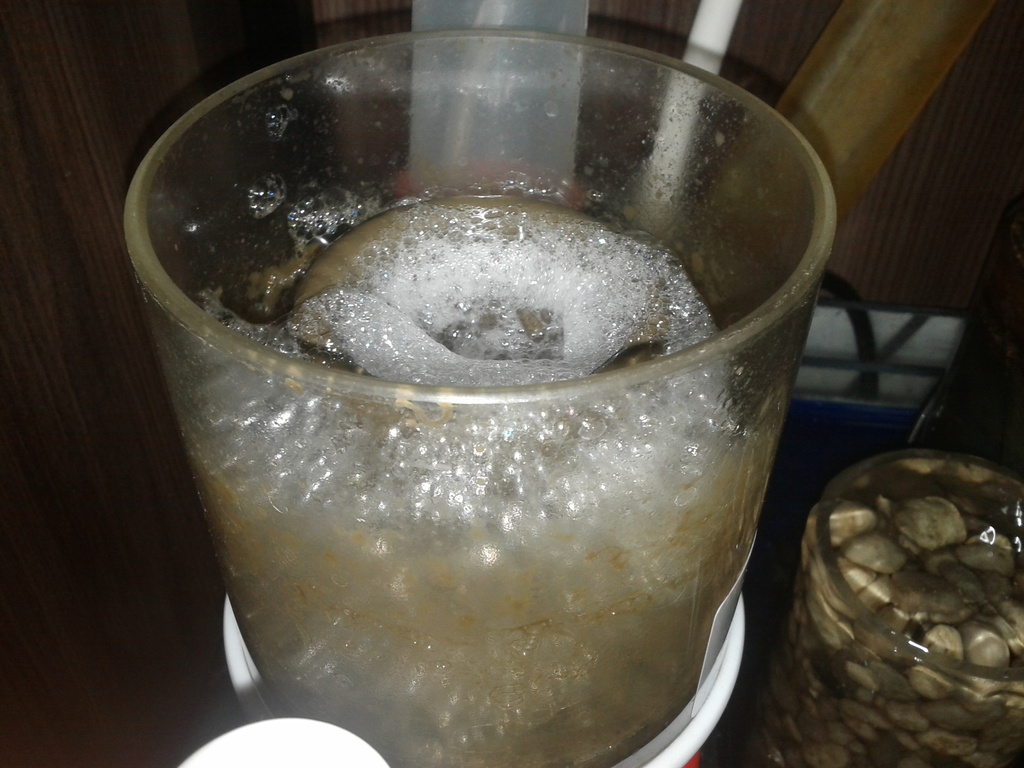 IMG 20130219 174128 - 