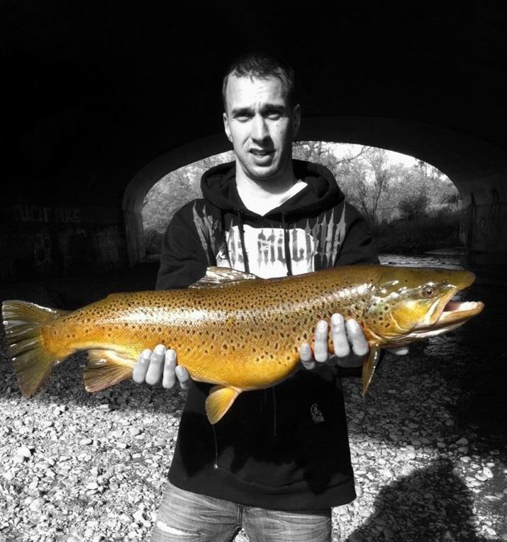 browen trout - 