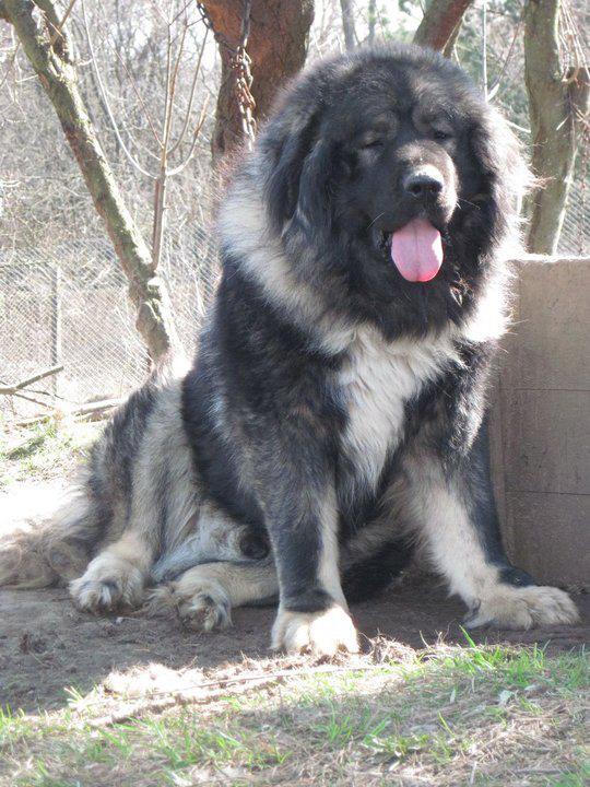 388304 235384766524250 277783758 n - 