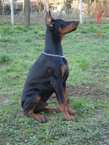 16843 273038647562 232387 n - 