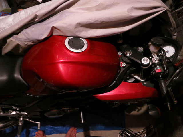 IMG 8395 moto