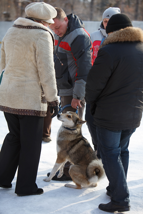 0 797ef 176863dc orig - 