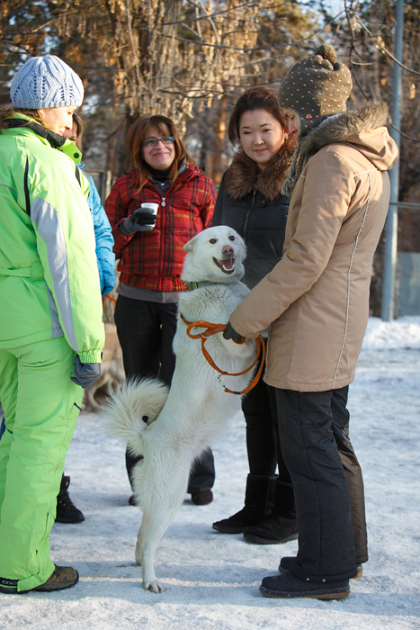 0 797dd 90235661 orig - Copy - 