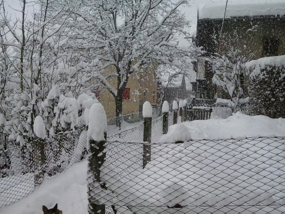 574497 10200140472427428 410944426 n - 