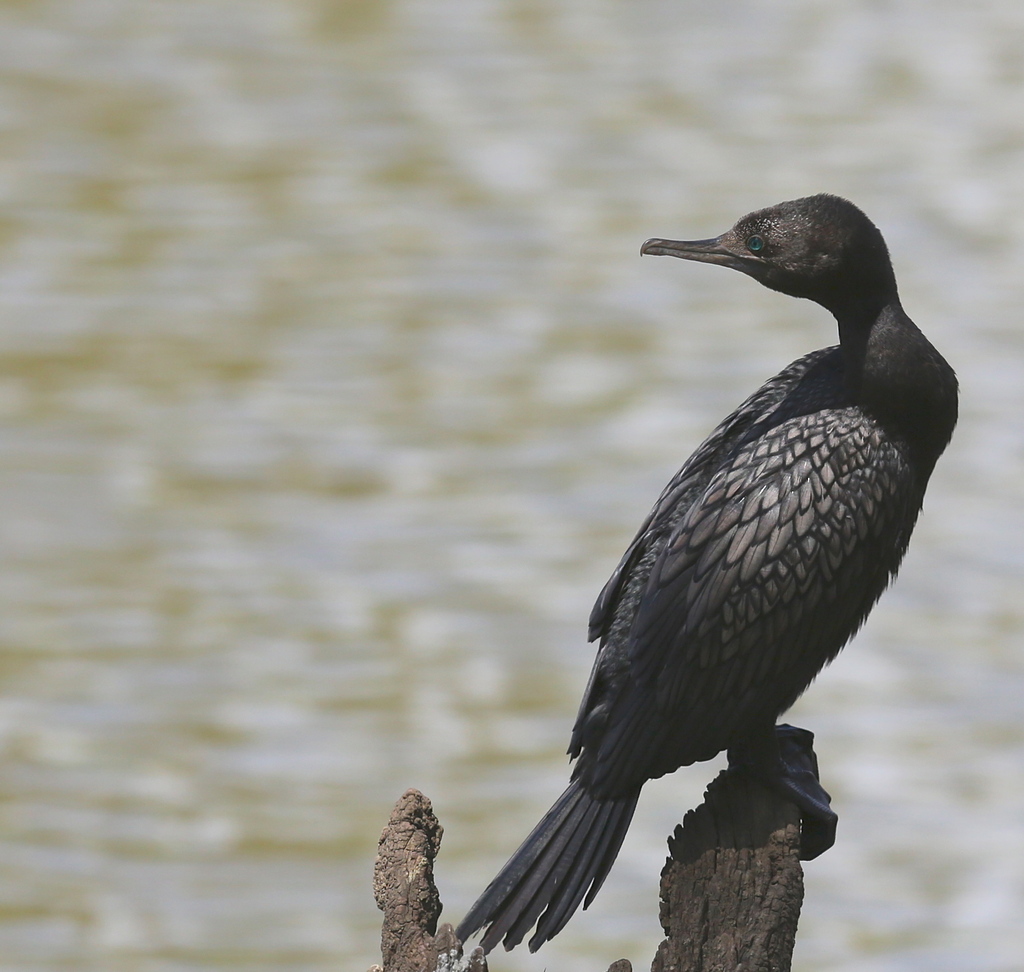 2013 02 23 0600 edited-1 - 