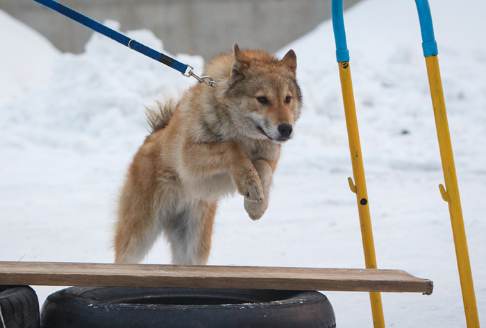 0 79751 cda23c1e orig - 