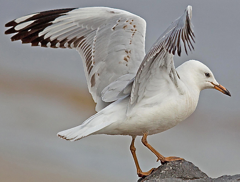 2013 03 03 1055 edited-1 - 