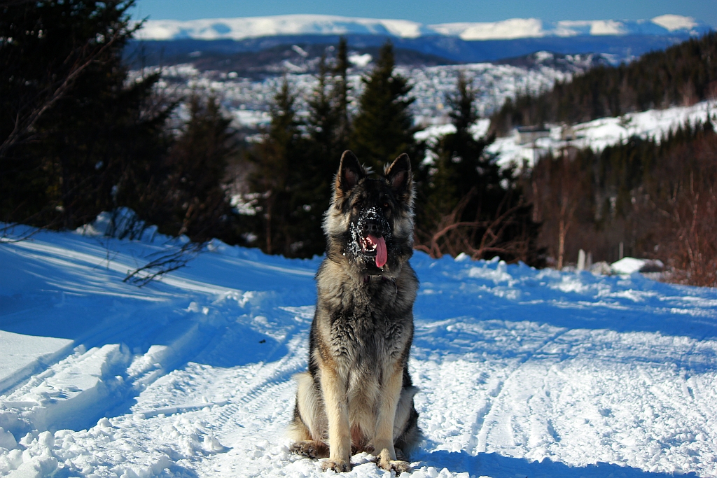 ceecee 11 mths 3 weeks - 2011 Apex