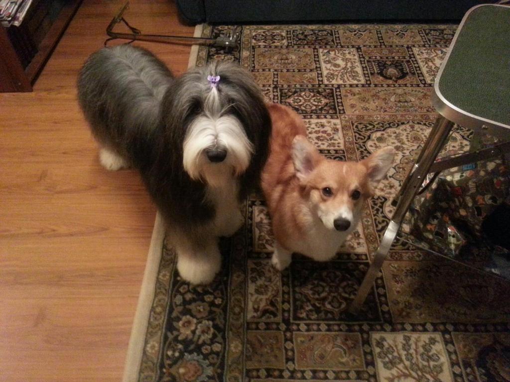 882973 606619446020156 1722474224 o - 