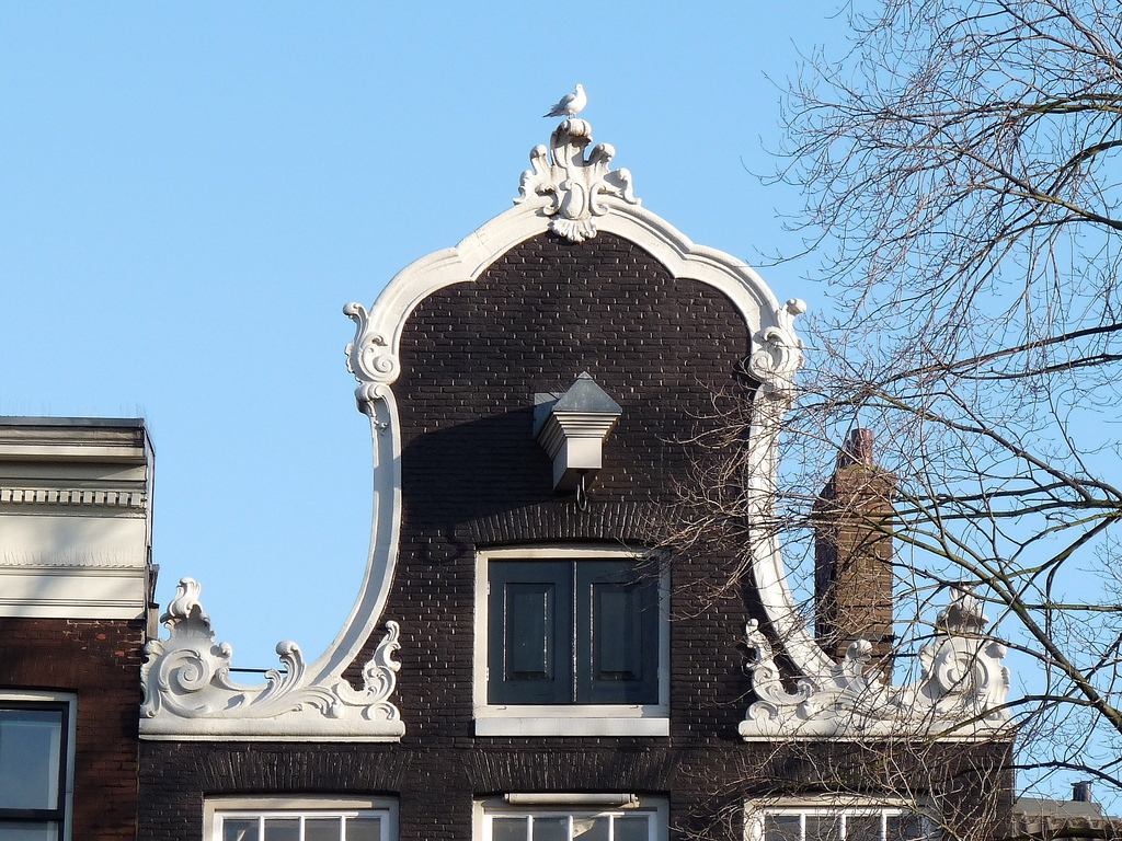 P1010984 - amsterdamerrata