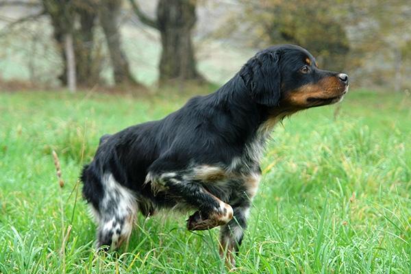 22fa7981-83a0-4ba4-ab50-2806bae65dbc-pic 1-622-480 - 